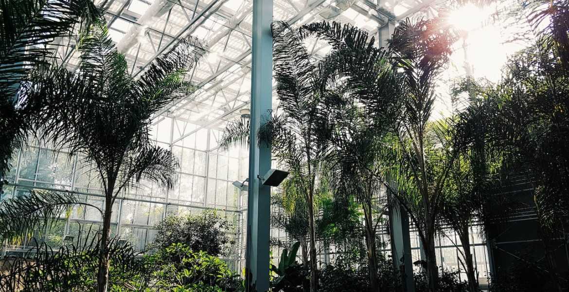 Ph. D. in Botany