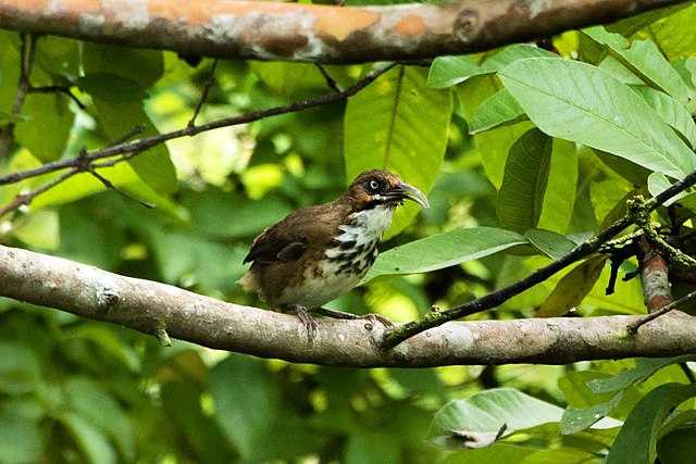 Advance Post Graduate Diploma In Biodiversity